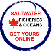 Saltwater Fishing Licences