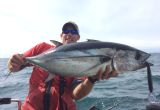 Kyuquot Tuna Salmon Halibut Combo