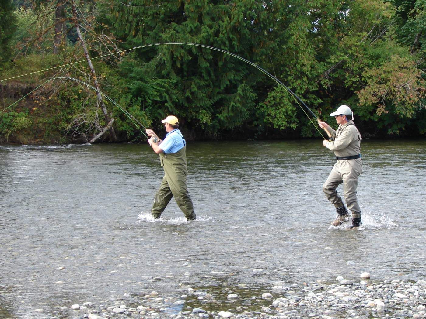 Stamp River Salmon Fishing - Coho and Chinook - Fly or Gear