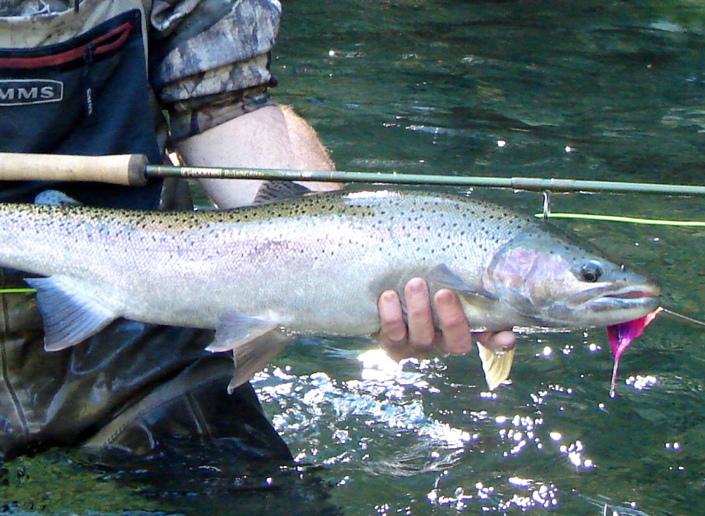 Stamp River Fishing Map Stamp River Steelhead Fishing