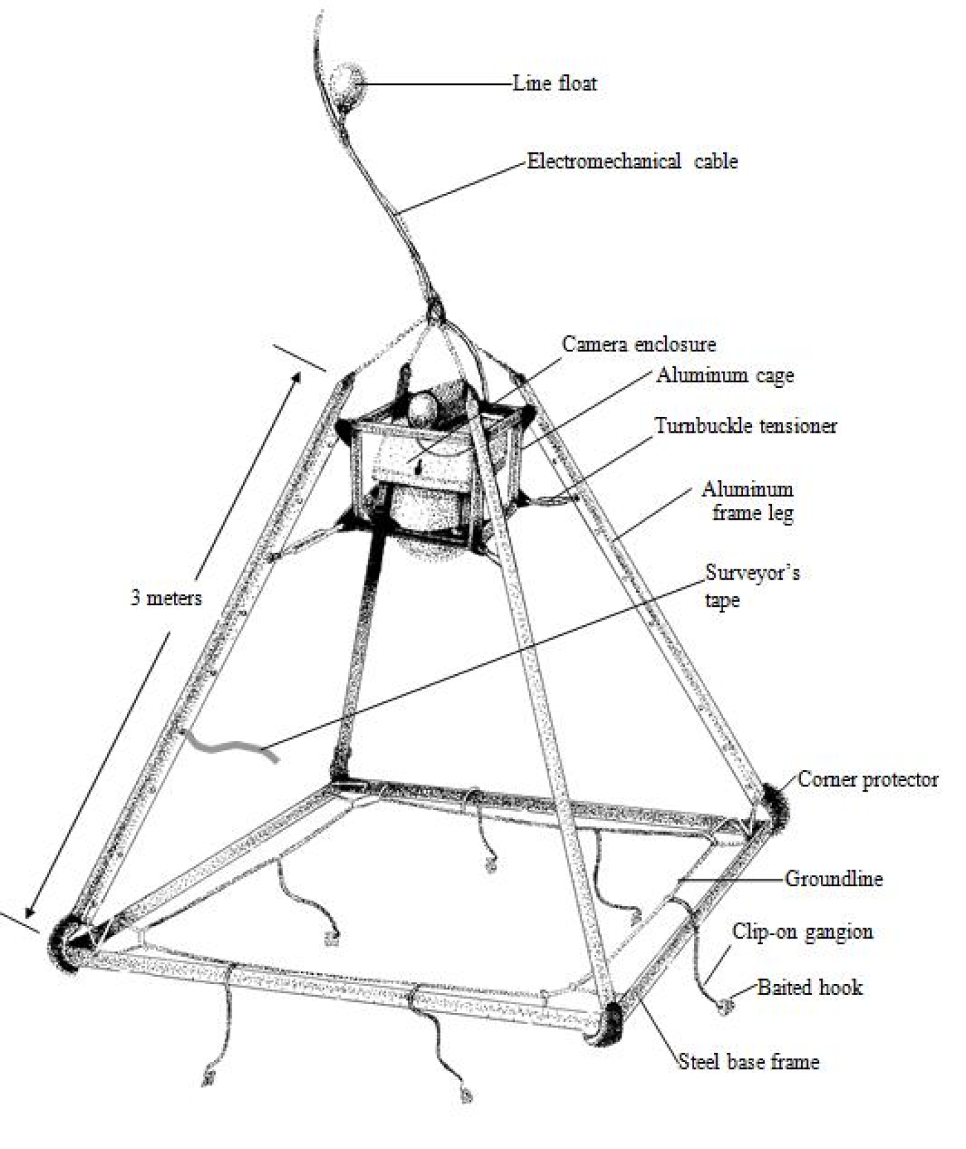 How to catch halibut - Hooking Behaviour