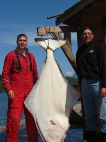 Kyuquot Sound Giant Pacific Halibut (2012)