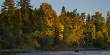 Vancouver Islands Fall Colours