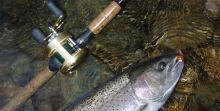 Stamp River Steelhead On a bait casting set up