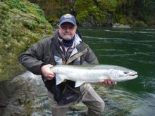 Big Beautiful Steelhead