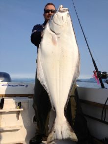 Ucluelet Halibut