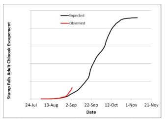Chinook Timing To Date