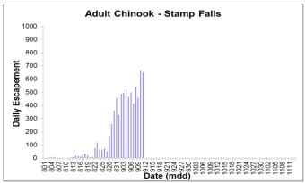 Daily Stamp River Chinook Counts