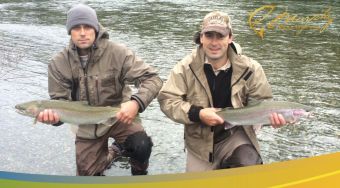 Double Header Fall Steelhead Stamp River