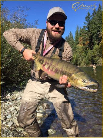 Nice Vancouver Island Chum October 2015