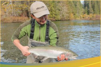 Stamp River Fall Fishing Report Steelhead by Rod Hsu