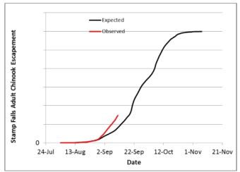 Migration Trend Stamp River Chinook