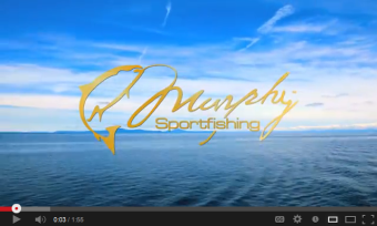 Play Video Overview Play Overview Video