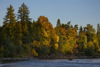 Many Colours of the Stamp River