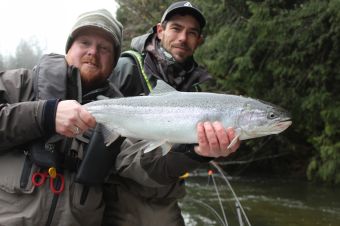 Stamp River Wild Steelhead for Brood Stock