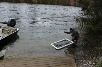 Good to go - Hatchery staff will come and pickup