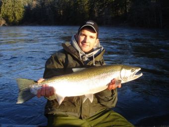 Chromer Steelhead in the Lower Stamp River