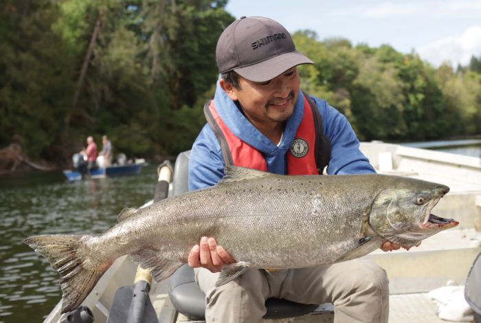 Average Chinook from the Stamp River System