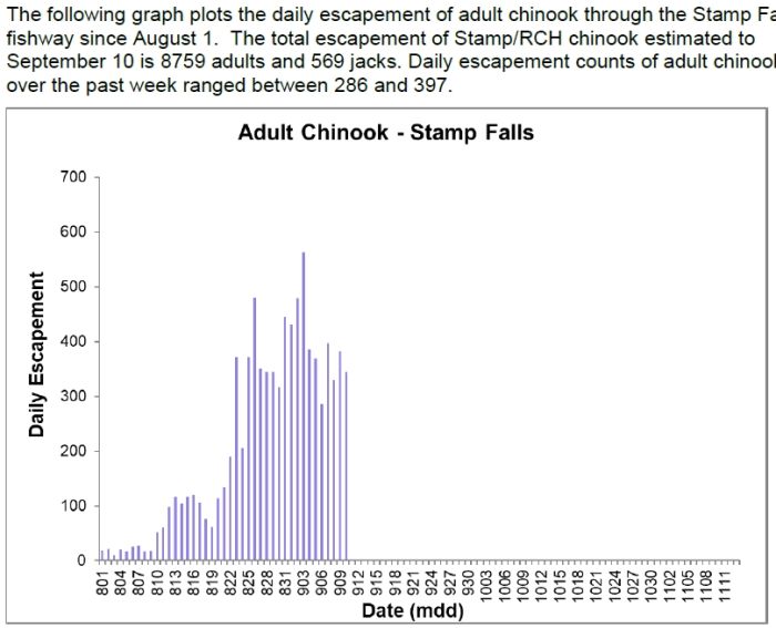 2019 chinook migration to date