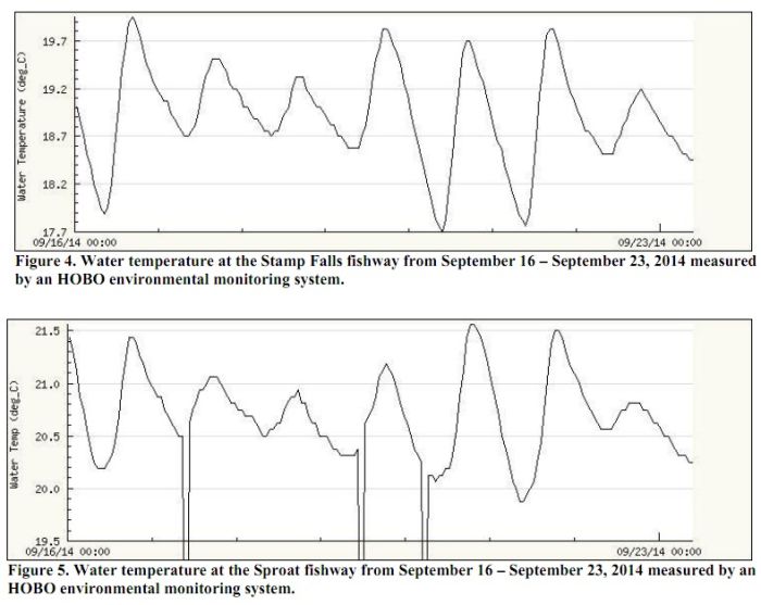 BC Fishing Stamp River Strong Salmon Migrations Murphy Sport Fishing
