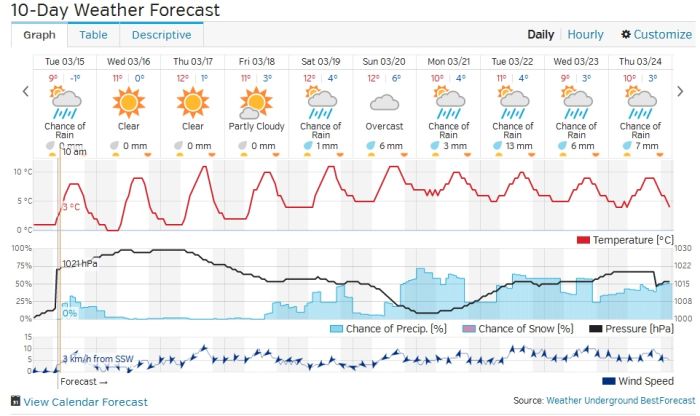 10 day weather forecast