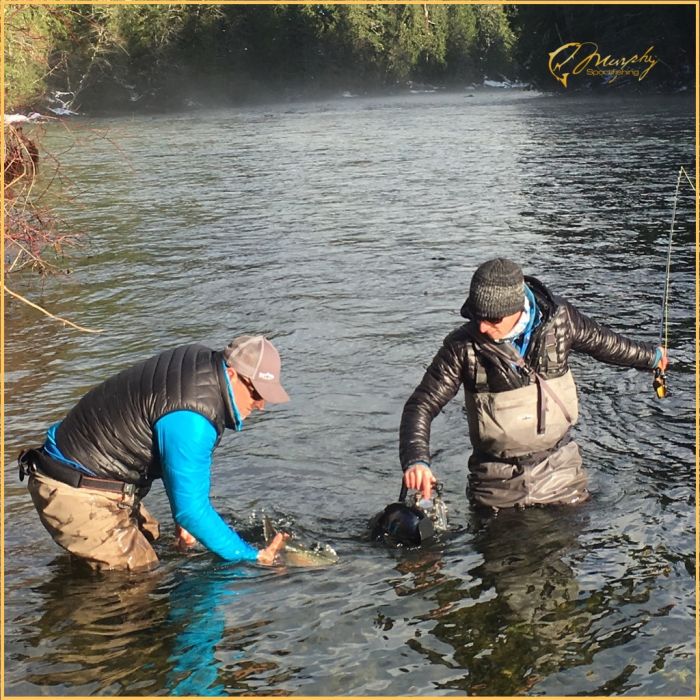 Fly Fishing Winter Steelhead Stamp River