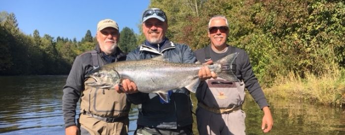 Gephardts Stamp River Chinook