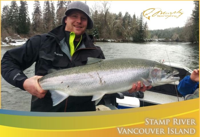 Stamp River Winter Steelhead Male 16+ releaseed