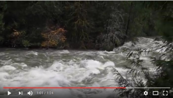 Stamp River Raging 2016