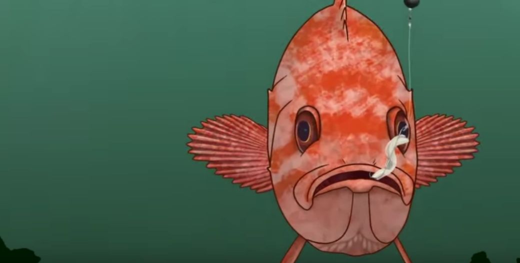 Rockfish Barotrauma and Recompression