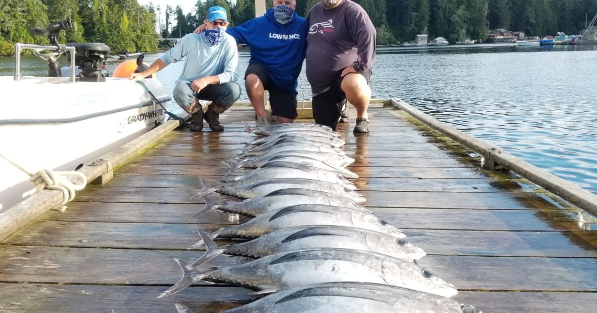 BC Fishing Kyuquot Fishing Report Tuna! Murphy Sport