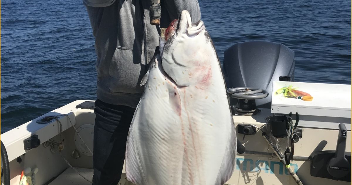 Vancouver Island BC Fishing Lodge Ucluelet Salmon and Halibut Fishing