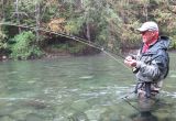 Fall Salmon & Steelhead 4 day Fish-Lodge-Dine