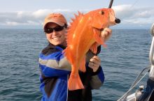 Kyuquot Yelloweye Rockfish