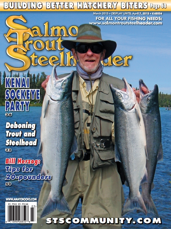STS March 2015
